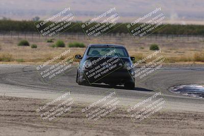 media/Oct-04-2025-OnGrid (Sat) [[44bd565ffa]]/Purple Group/Grapevine/